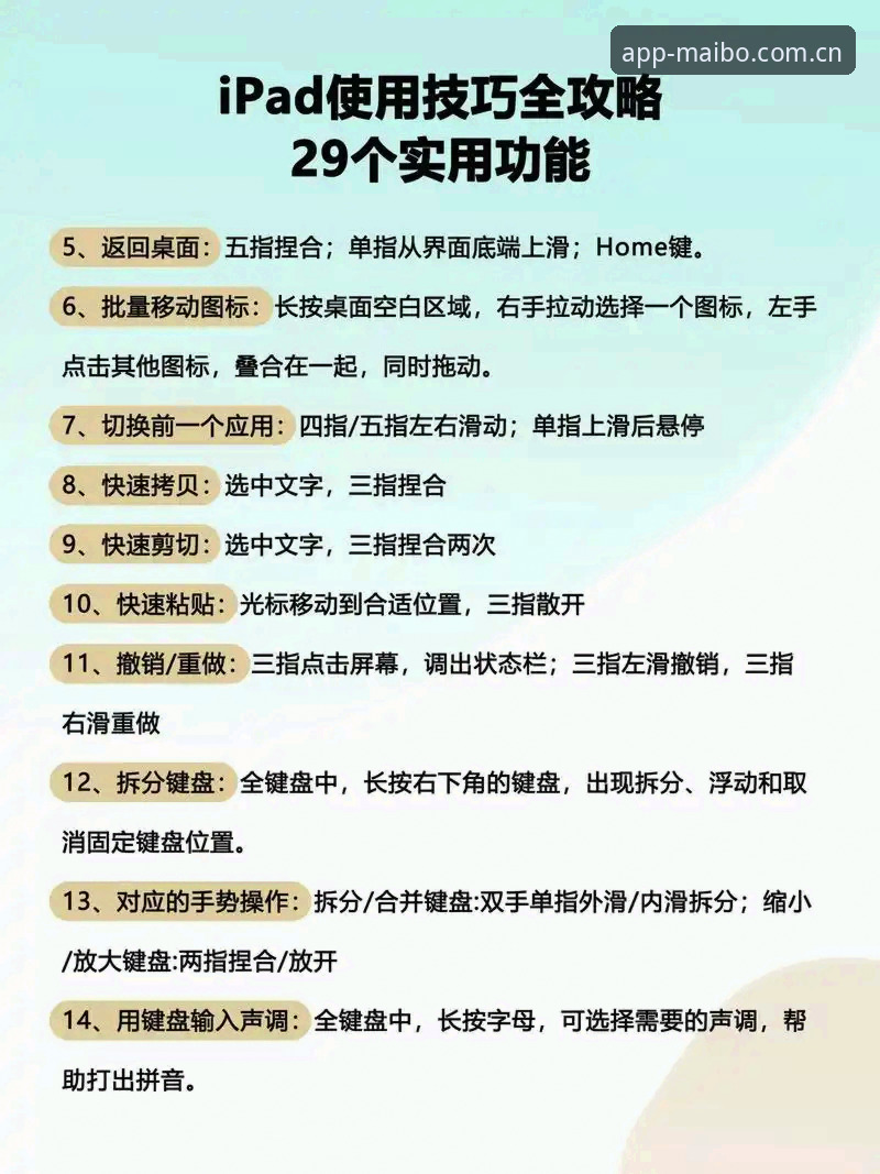 如何利用迈博体育实时数据提升观赛体验？新手必看操作指南